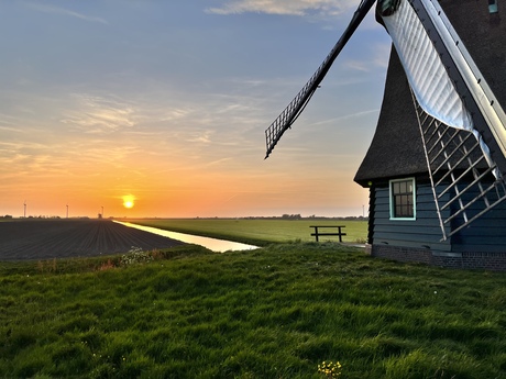 Laatste zon bij molen F