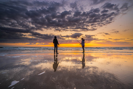 Zeevissen op Texel