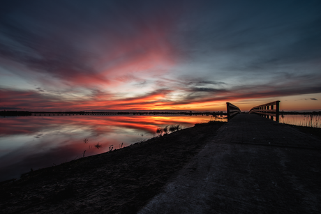 Zonsondergang in het Roegwold