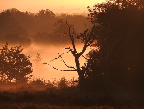 Zonsondergang