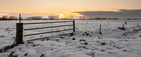 De laatste van 3-01-2026