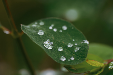 Raindrops keep falling … 