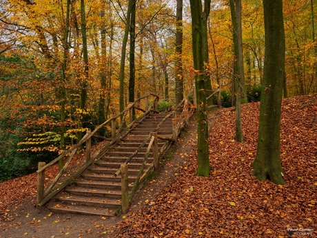 Prachtige herfstkleuren in Park Sonsbeek (Arnhem).