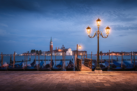 Venice Nights