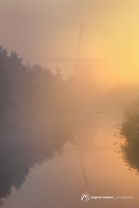Waar mist en zon elkaar ontmoeten...
