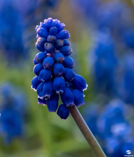 April