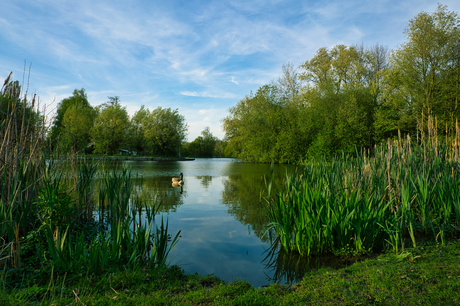 Weltervijver Heerlen