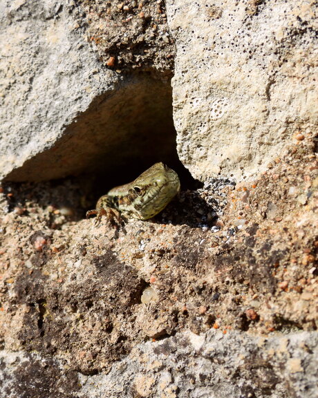 Mooi weer vandaag!!!