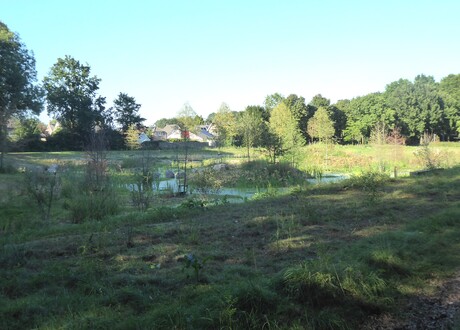 Begroeide wadi 1