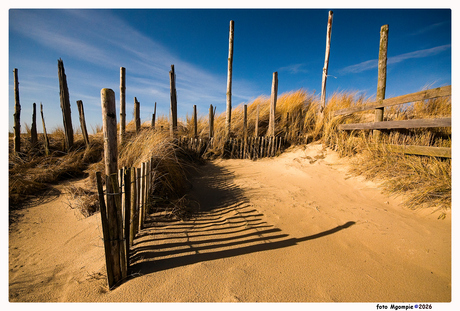 Dune Corral