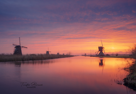 Kinderdijk 