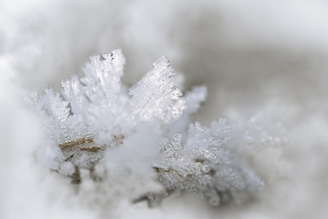 Fotowedstrijd winter - ijskristallen