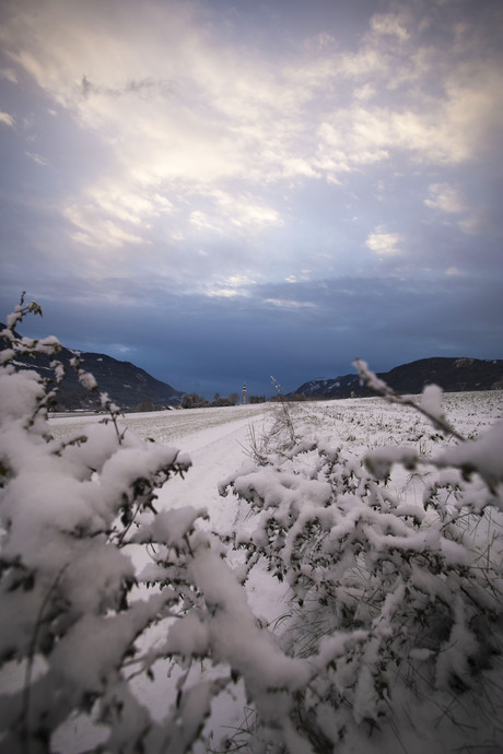 Witte wereld