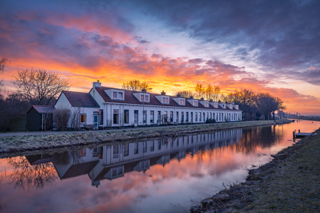 Tienborg - Woudbloem