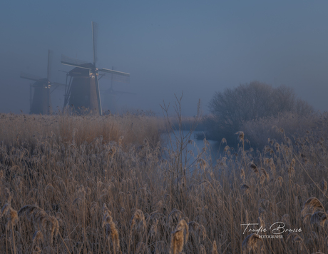 Cold start off the Day. 