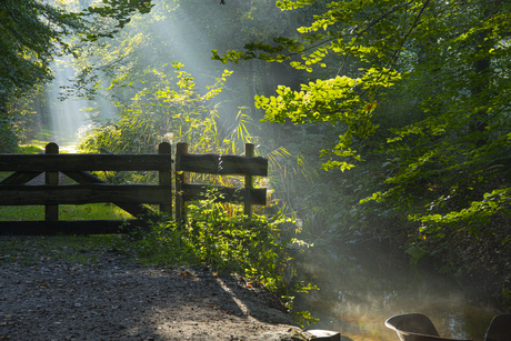 When the sun comes up/