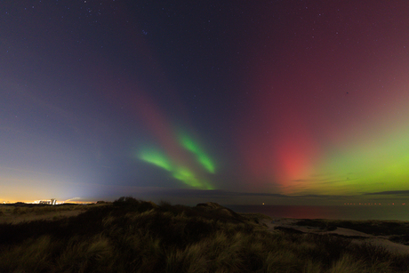 Semi Australis met een knipoog
