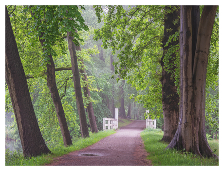 Het witte bruggetje