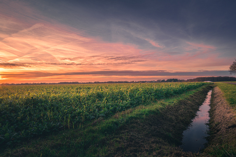 Zonsondergang