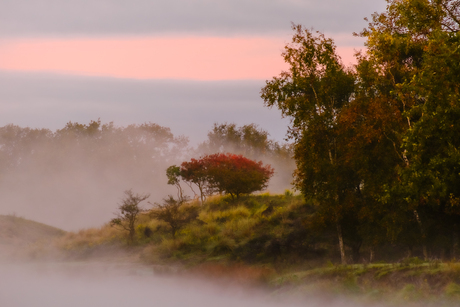 In Mist Gehuld