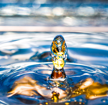 Olie op het water
