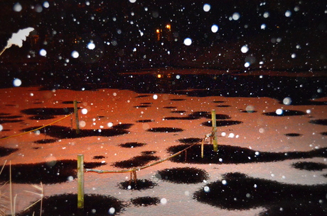 Sneeuwvlokken in de nacht..