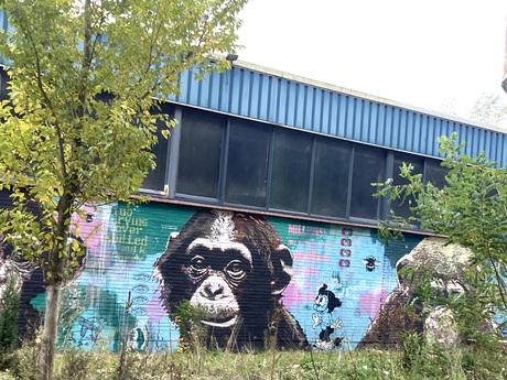 Getekende natuur in de stad