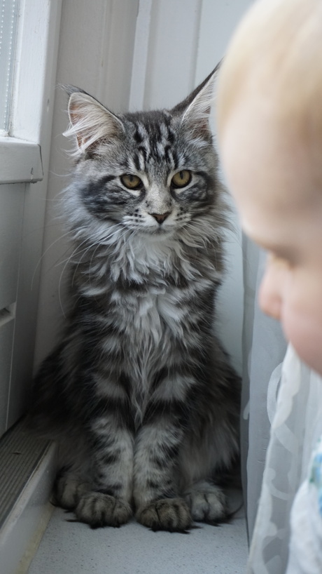 Ik hou je in de gaten.