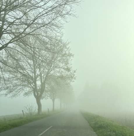 I’m on the road to nowhere