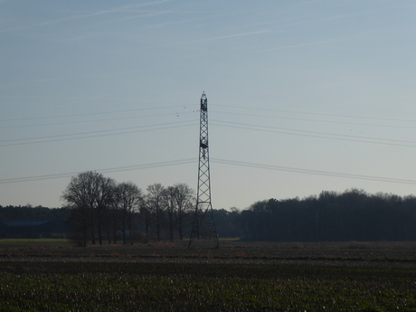 Landschap 2