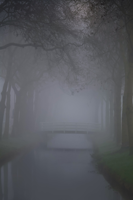  Mistige ochtend in Bunschoten 