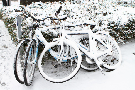 Snow bikes