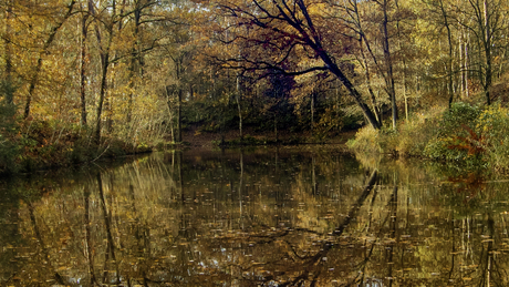 herfst kleuren