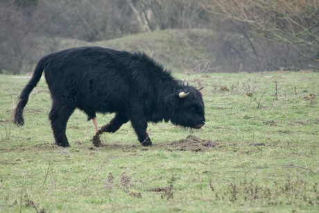 Ben er opgewonden van geworden