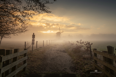Molen in de mist