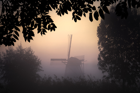 Molen in mist