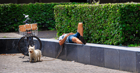 even de hond uitlaten   