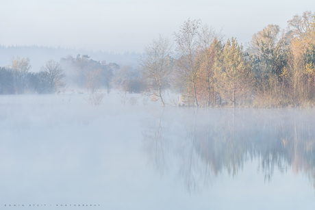 Lake dawn