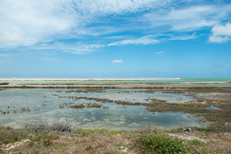 Landschap Bonaire