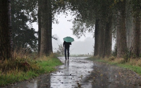 Herfstwandeling in de regen