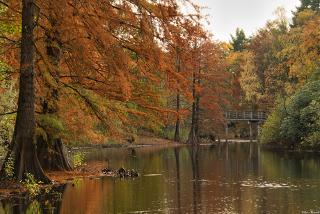 t Wandelbos, Tilburg