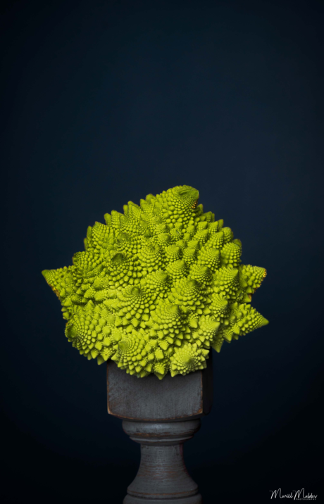 Stilleven romanesco