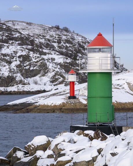 Guardians of the harbour