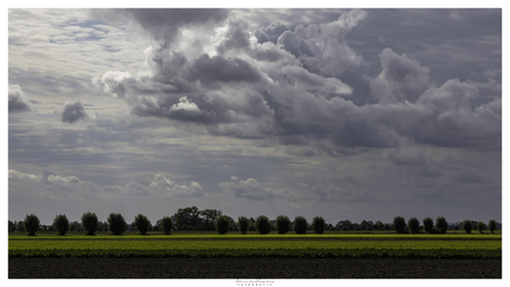 Landschap