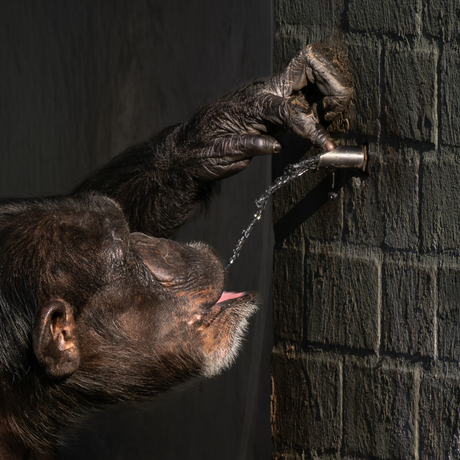 Even mijn dorst lessen