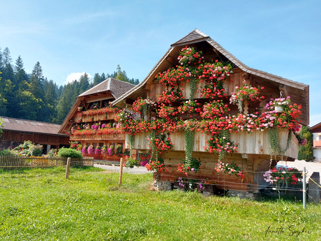 Speicher Emmental, Zwitserland