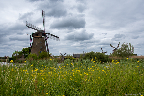 Kinderdijk