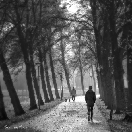 Aan de wandel
