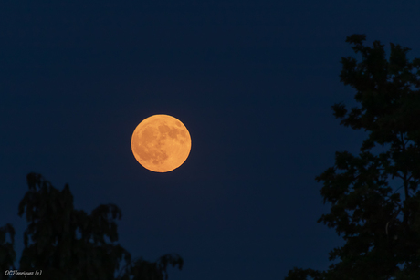 Volle maan!