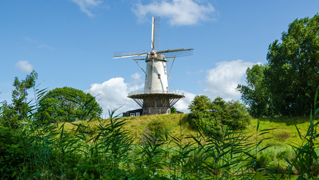 Molen